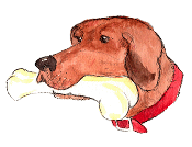 Duke the Dog