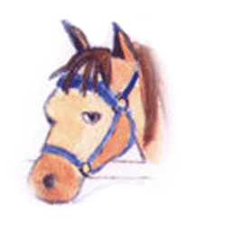 Howard the Horse