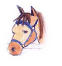 Howard the Horse
