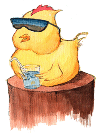 Max the Chick