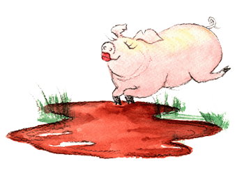 Pauline the Pig