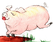 Pauline the Pig